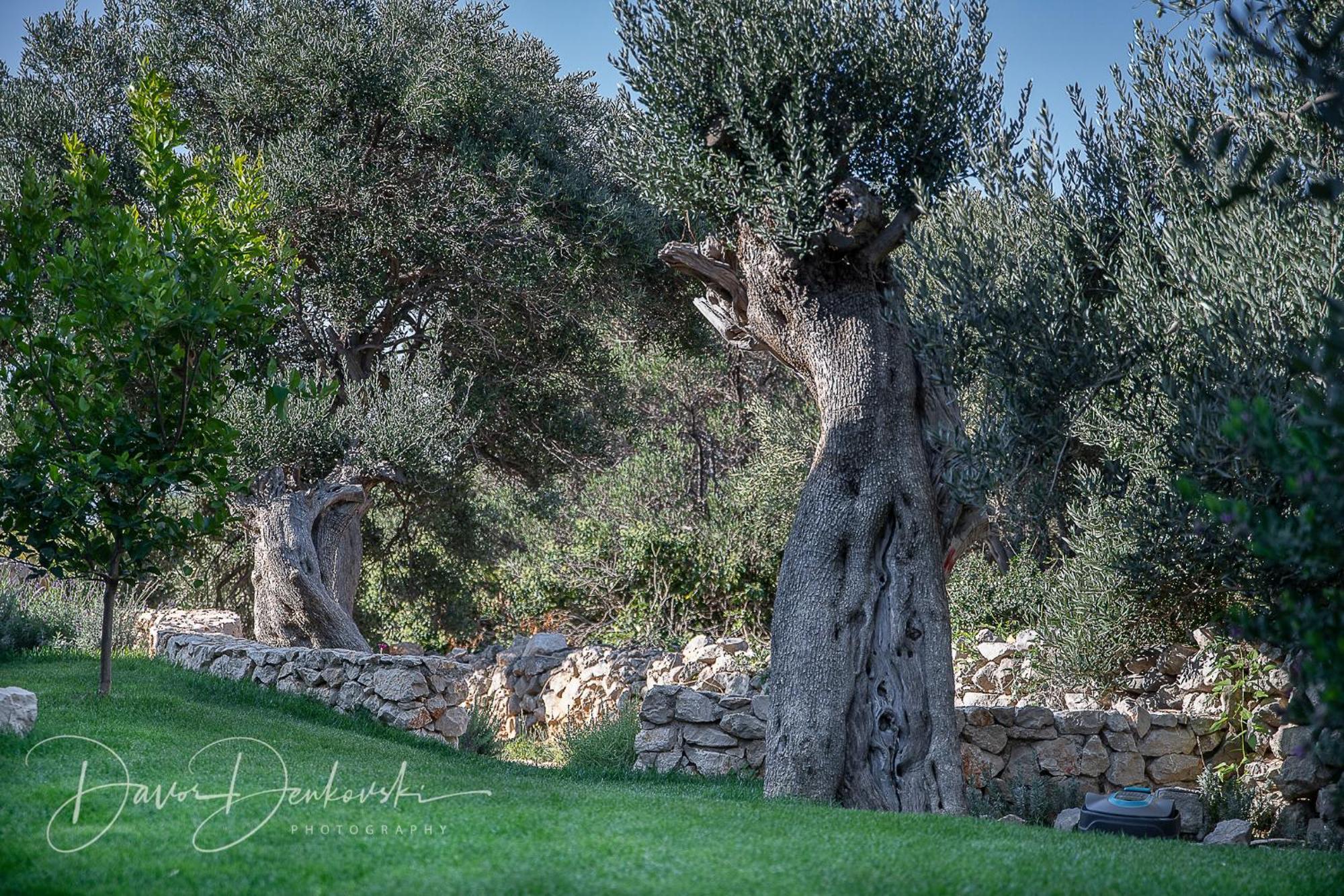 Island Villa Adriana With Heated Pool And Sauna Lun  Exterior foto